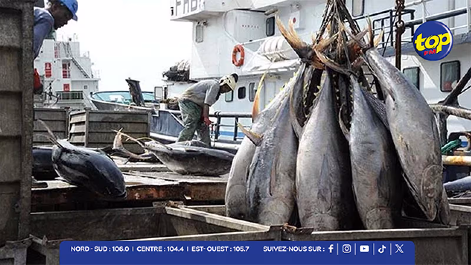 Industrie de la pêche au thon : l’État mauricien a encaissé plus de Rs 537 millions entre 2019 et 2024.