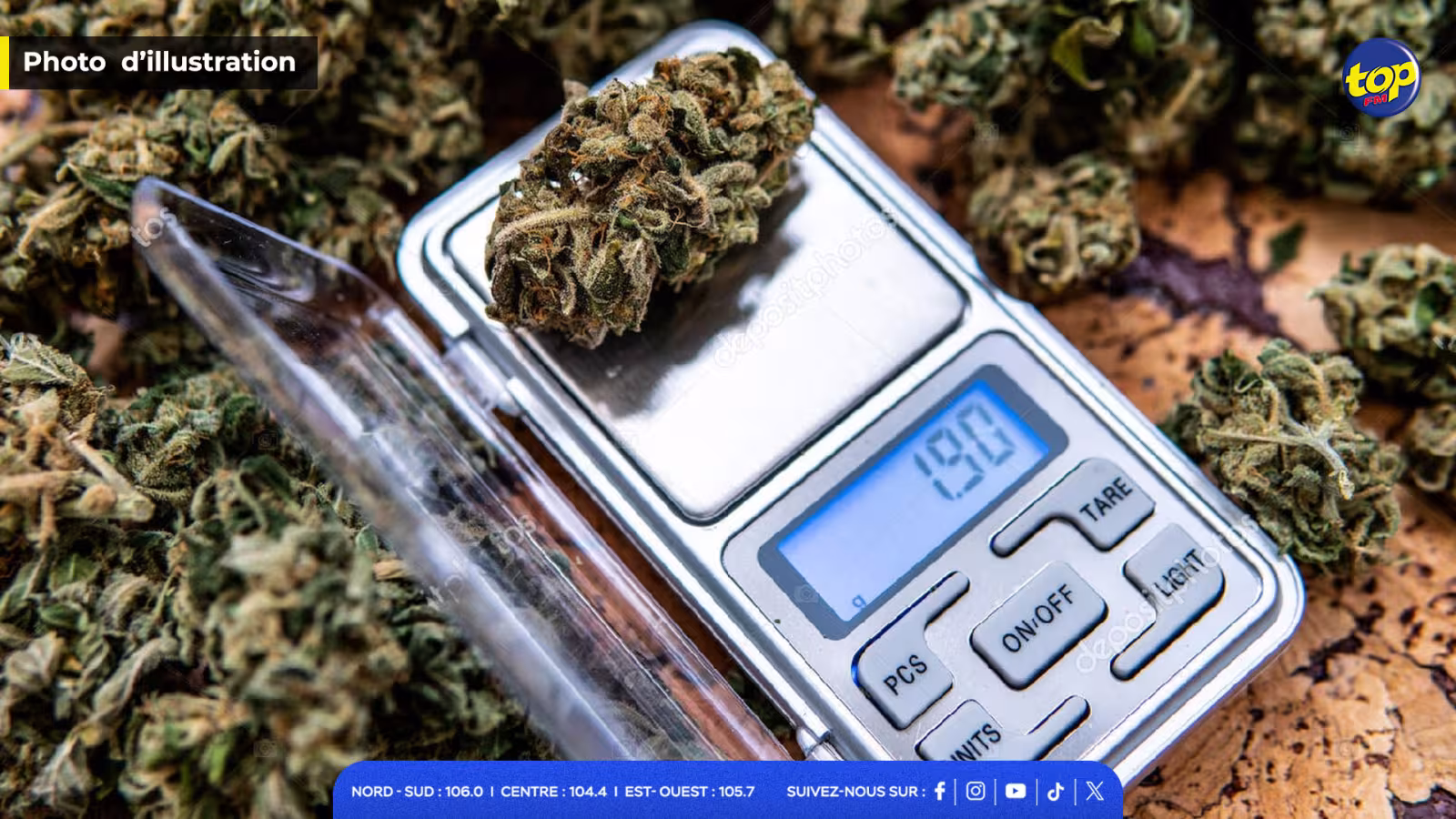 Trafic de cannabis