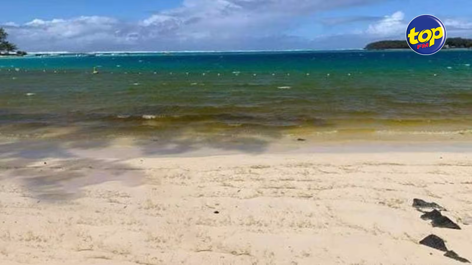 A Blue Bay : Pas d’huile du Wakashio dans le lagon mais une perte de pigmentation des algues selon les autorités