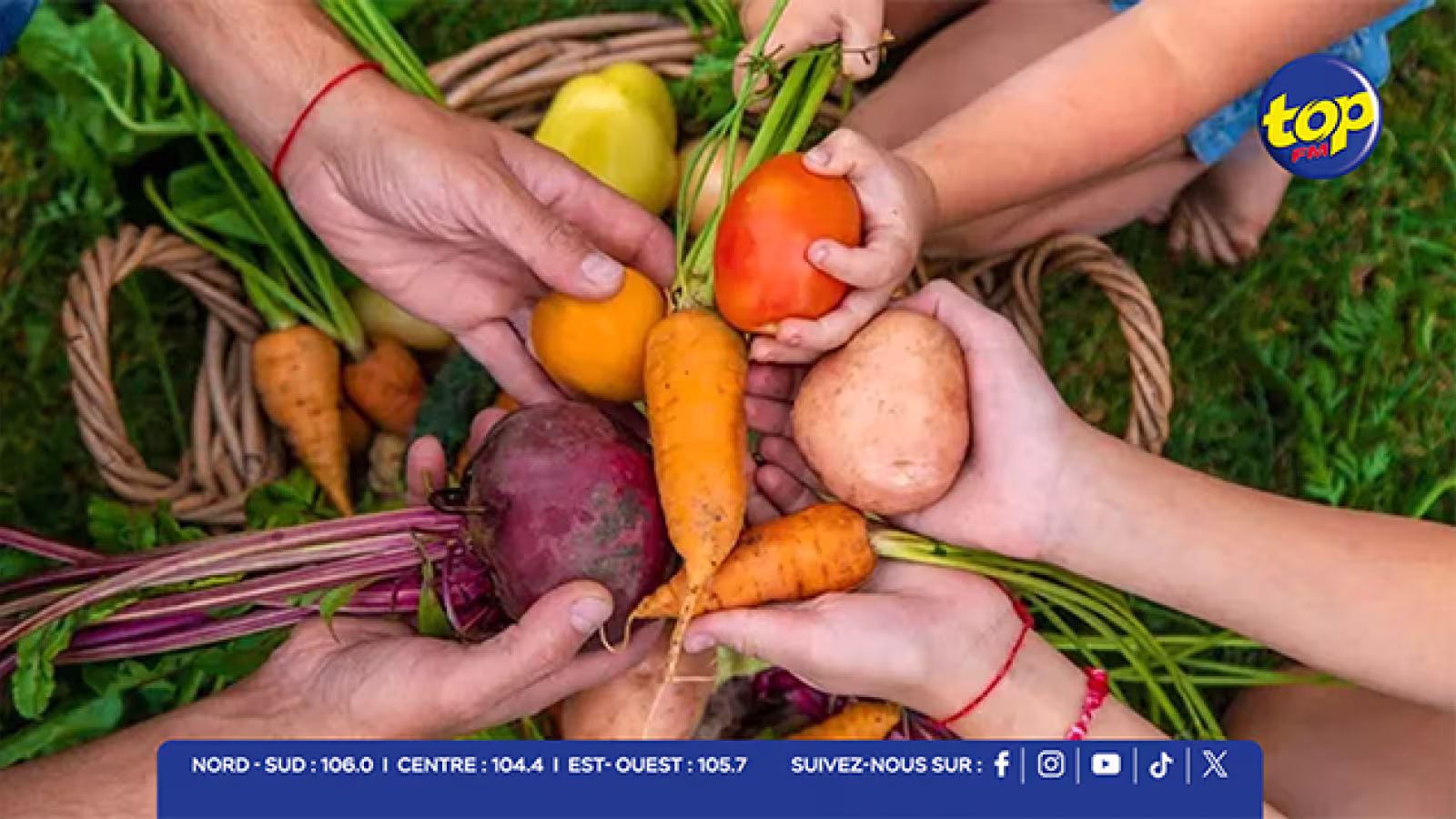 Souveraineté alimentaire et stratégie « 25 by 35 » : un objectif réalisable pour les planteurs, à condition de relever les défis du secteur