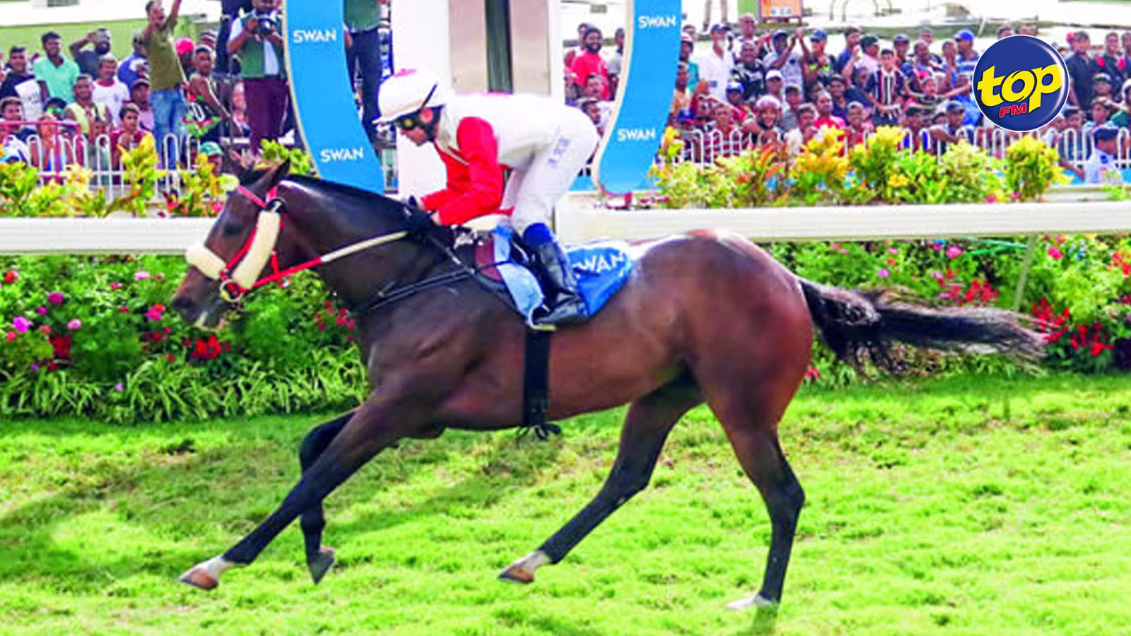 Hippisme/THE GOLDEN TROPHY : White River, le cheval à battre malgré ses 61kg