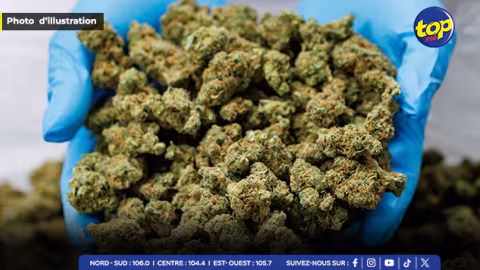 À l’aéroport SSR : Saisie de 5,38 kilos de cannabis