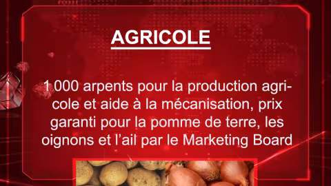 Budget 2021-2022 :1 000 arpents pour la production agricole et aide à la mécanisation, prix garanti pour la pomme de terre, les oignons et l’ail par le Marketing Board