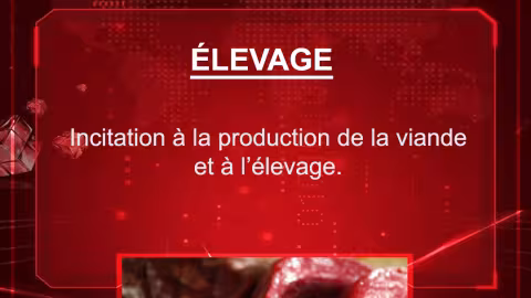 Budget 2021-2022 : Incitation à la production de la viande et à l’élevage