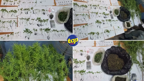 À Résidence La Cure : un jeune homme de 22 ans arrêté pour trafic de cannabis