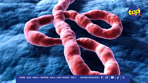 Maurice muscle sa riposte face à l’épidémie d’Ebola: « Tout cas suspect sera isolé à Souillac », annonce le ministre Anil Bachoo