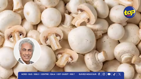 300 tonnes de champignons importées par an : Maurice mise sur la production locale pour économiser près de Rs 130M 