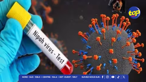 Virus Nipah en Inde : Maurice se mobilise pour protéger la population
