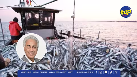 Baisse de 24,8 % des exportations de produits de la pêche : Arvin Boolell évoque une possible erreur dans les statistiques 