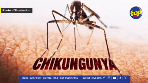 Un premier cas de chikungunya détecté à Roche-Brune : une femme d’une soixantaine d’années touchée, selon le Dr Fazil Khodabaccus