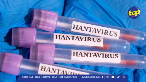 Épidémie d’hantavirus : attention aux fausses informations