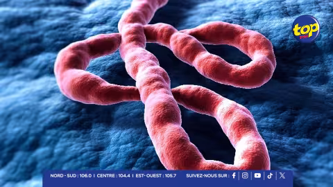 Ebola : les Seychelles musclent leur dispositif de prévention sanitaire