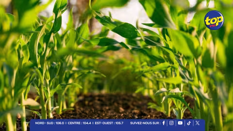 Assises de l'Agriculture 2026 : une feuille de route technologique et résiliente pour notre souveraineté alimentaire