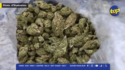 Saisie de 63 kg de cannabis en provenance de Londres : Trois arrestations dans un coup de filet majeur de l’ADSU à l’aéroport