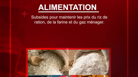 Subsides pour maintenir les prix du riz de ration, de la farine et du gaz ménager.