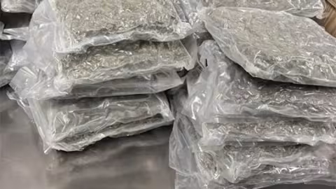 Saisie de Rs 57,1 M de cannabis : un couple britannique arrêté