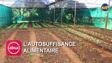 À Vieux Grand Port : L’autosuffisance alimentaire à l’honneur lors d’un atelier de travail ce mercredi