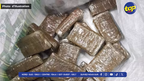 À l’aéroport : 160 Kg de cannabis valant Rs 190 millions saisis en provenance de la Grande-Bretagne…