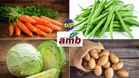 Afin d’éviter la pénurie : L’Agricultural Marketing Board va importer des carottes, des haricots et du chou