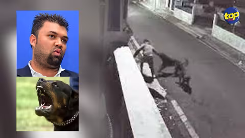 La loi pour les chiens de race à Maurice : “Il est obligatoire de faire stériliser les chiens de race et le breeding ne doit pas être fait avec certains”, affirme l’ancien Chairman de la MSAW