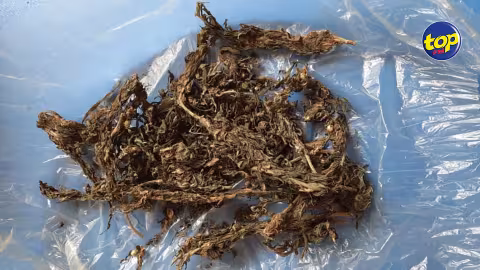 À Batterie Cassée, Port Louis : un homme de 37 ans arrêté pour trafic de drogue