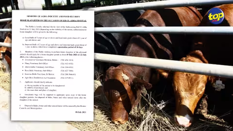 Eid Ul Adha : Un permis spécial pour l’abatage des animaux à domicile