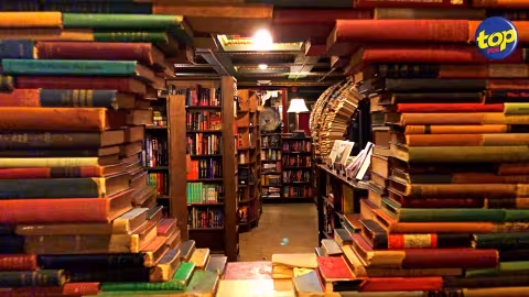 Journée internationale de la bibliodiversité
