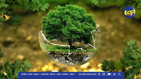Biodiversité