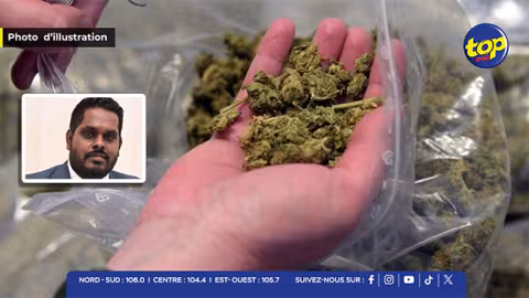 Affaire Reward Money : Me Pravesh Nuckcheddy dénonce une saisie de cannabis surévaluée à Rs 113 millions