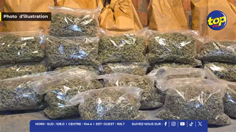 Au port : 10,5 kilos de cannabis découverts à bord d’un navire en provenance de Durban