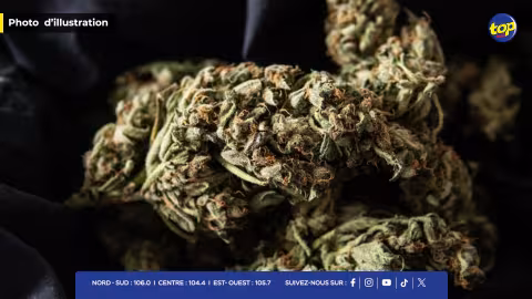États-Unis : la première boutique de cannabis a ouvert à New York