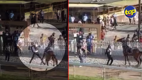 En circulation sur la toile : Une vidéo montre le cheval Special Force être malmené samedi dernier au Champ de Mars