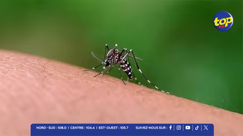 La menace du chikungunya persiste dans plusieurs quartiers de l’île