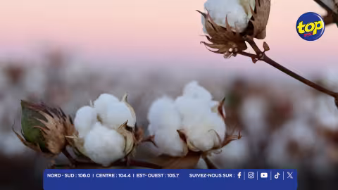 COTON