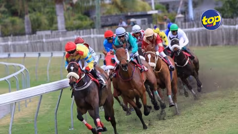 Après avoir recherché un avis légal : La Horse Racing Division fait marche arrière et autorise la MTCSL à importer des chevaux