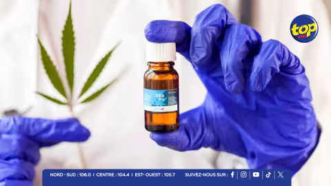 Cannabis-médica