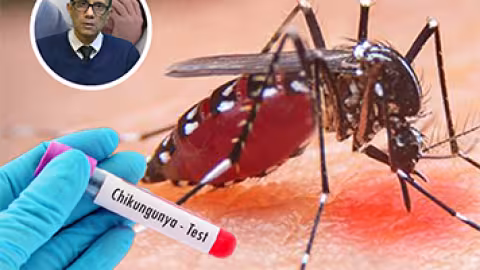 Chikungunya : 38 cas en trois semaines, les autorités renforcent la vigilance
