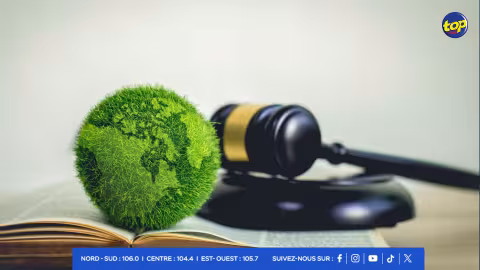 Crimes environnementaux