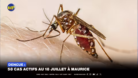 Dengue : 58 cas actifs au 18 juillet à Maurice
