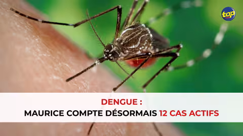 Dengue : Maurice compte désormais 12 cas actifs