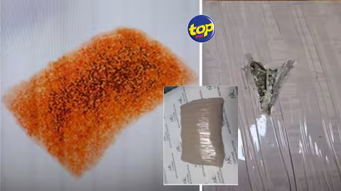Envoyé par courrier express : Du cannabis valant Rs 1,5 million intercepté par le département antidrogue de la douane