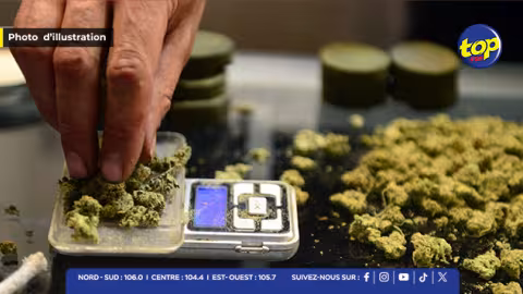 Importation de drogue : deux Malgaches arrêtés avec du cannabis dissimulé dans un mixeur à l’aéroport SSR 