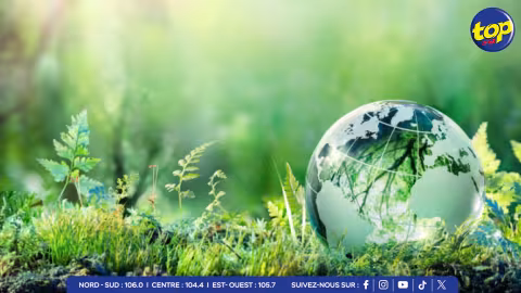 ENVIRONMENT