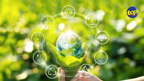 Énergie renouvelable : Un Permit and Licences Fast Track and Facilitation Committee institué