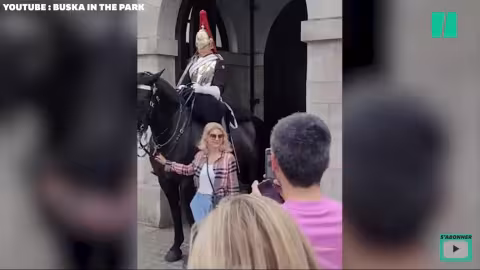 Un membre des Horse Guards de la reine devient une vedette mondiale