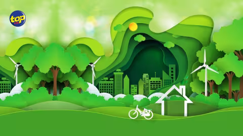 Fonction publique : le projet « Greening of the public sector » bientôt lancé