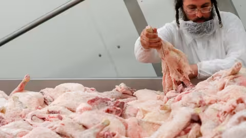 Un tribunal grec interdit les viandes casher et halal