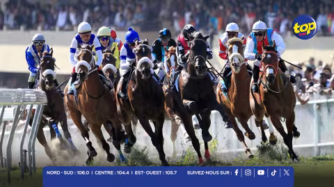 HIPPISME