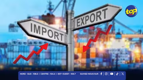 IMPORT-EXPORT