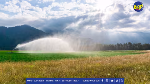 Le ministère de l’Agro-Industrie compte initier une enquête sur les terrains agricoles alloués par l’Irrigation Authority durant la période de septembre 2024 à décembre 2024.